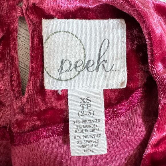 Peek Dress Girls XS 2-3 Fuchsia Crushed Velvet Bell Sleeve Ruffle Holiday Party - Picture 6 of 6